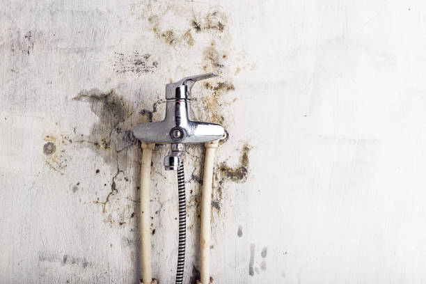 Mold Testing and Removal in State Center, IA