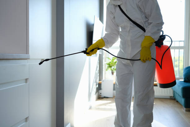 Best Mold Cleaning Services  in State Center, IA