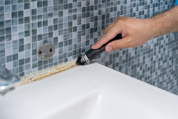 Best Black Mold Removal  in State Center, IA